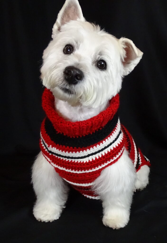 Join the Pack - Murphy