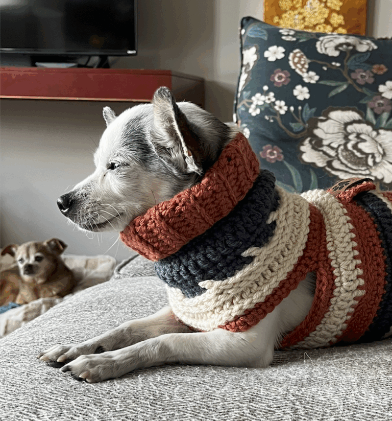 The WestieWear™ Experience: Comfort, Security, & Confidence