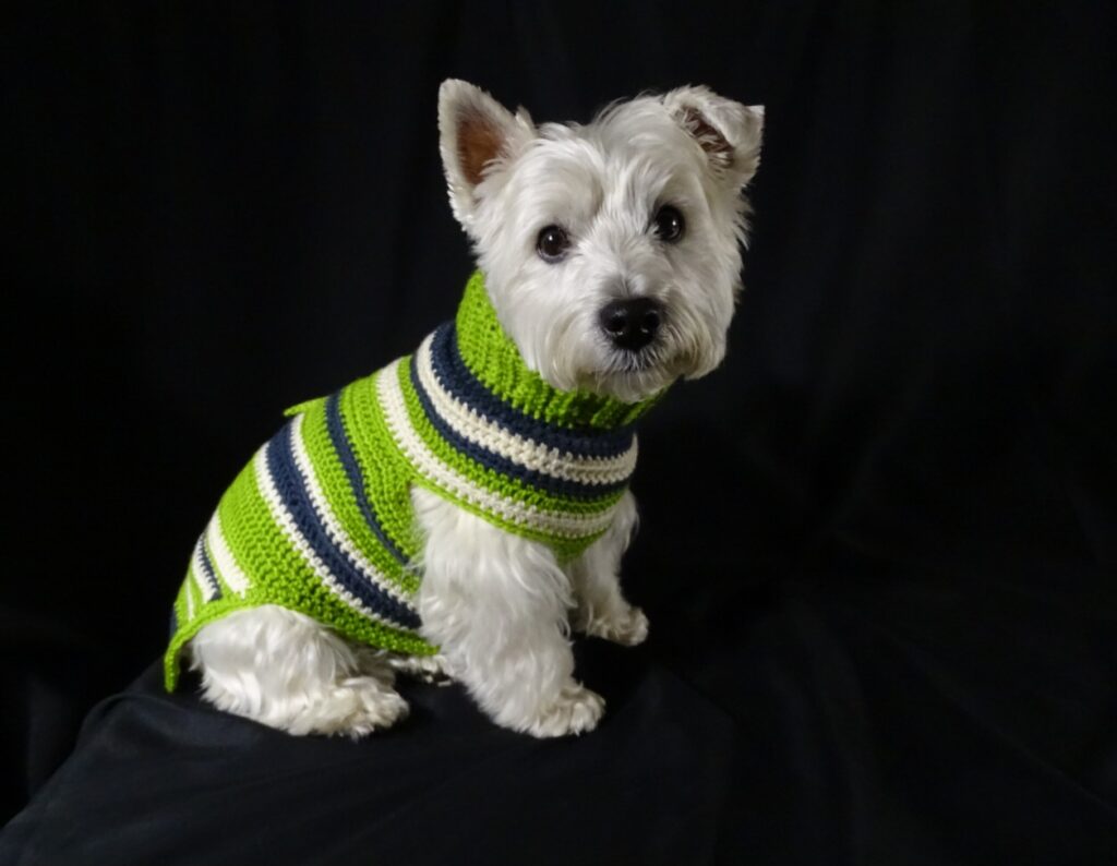 Handmade Boutique Dog Sweaters