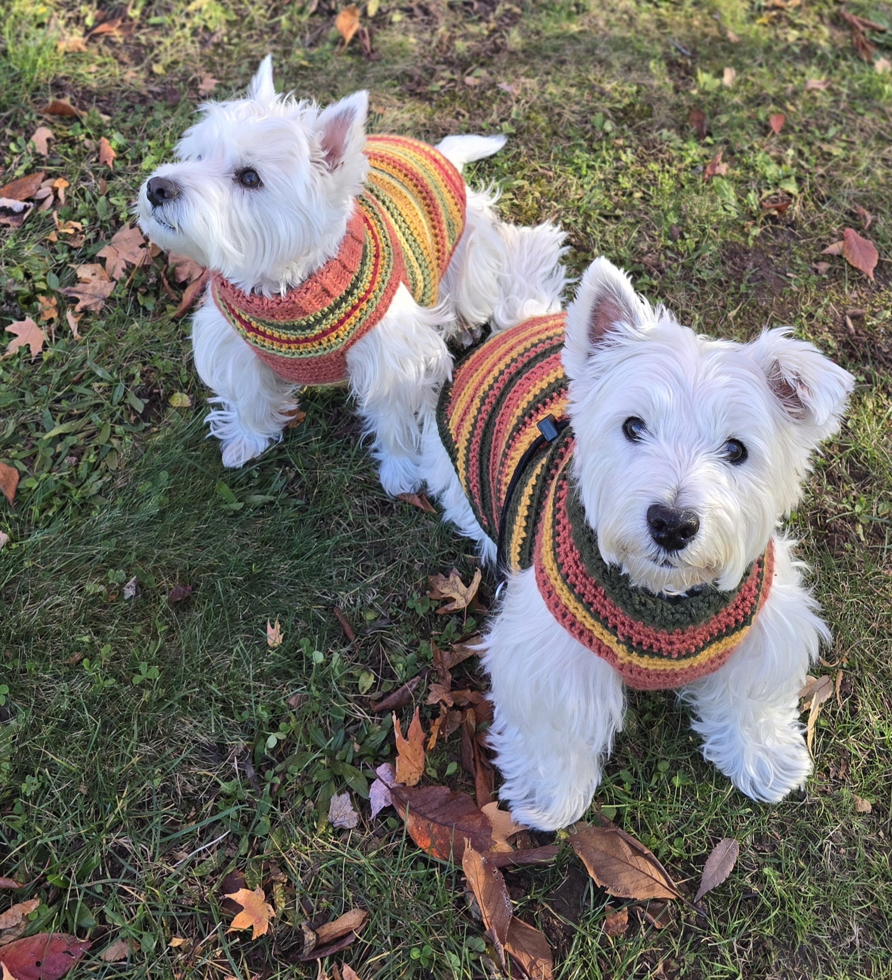 Murphy & Josie Fall Sweaters 2