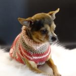 Cindy Lu Review & Testimonial