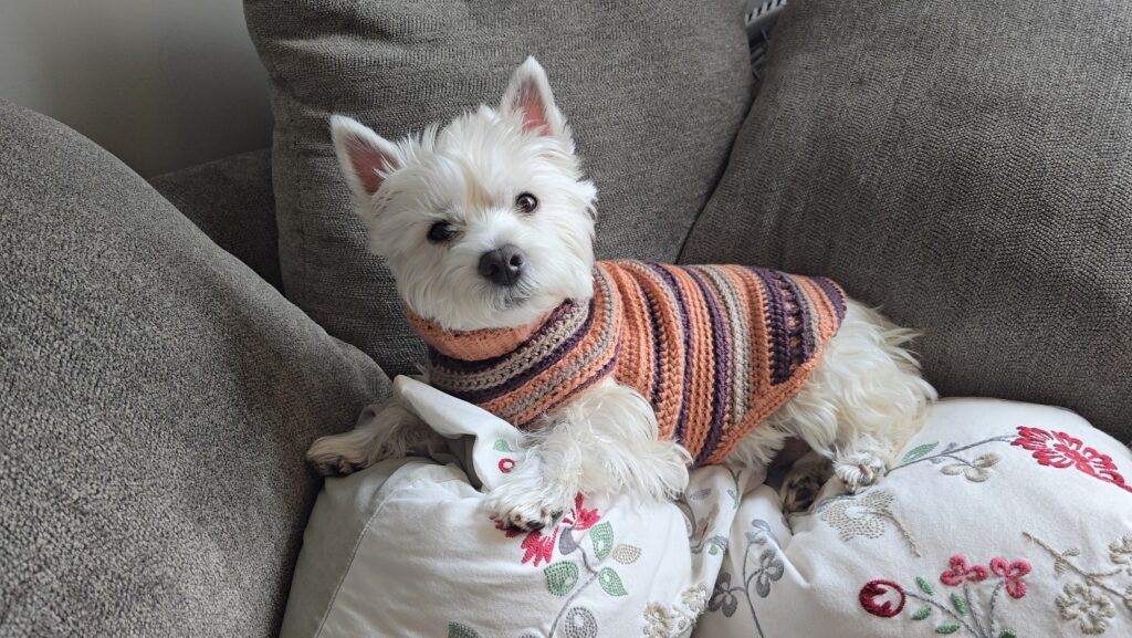 Josie in her New Year's Goodest Girl sweater
