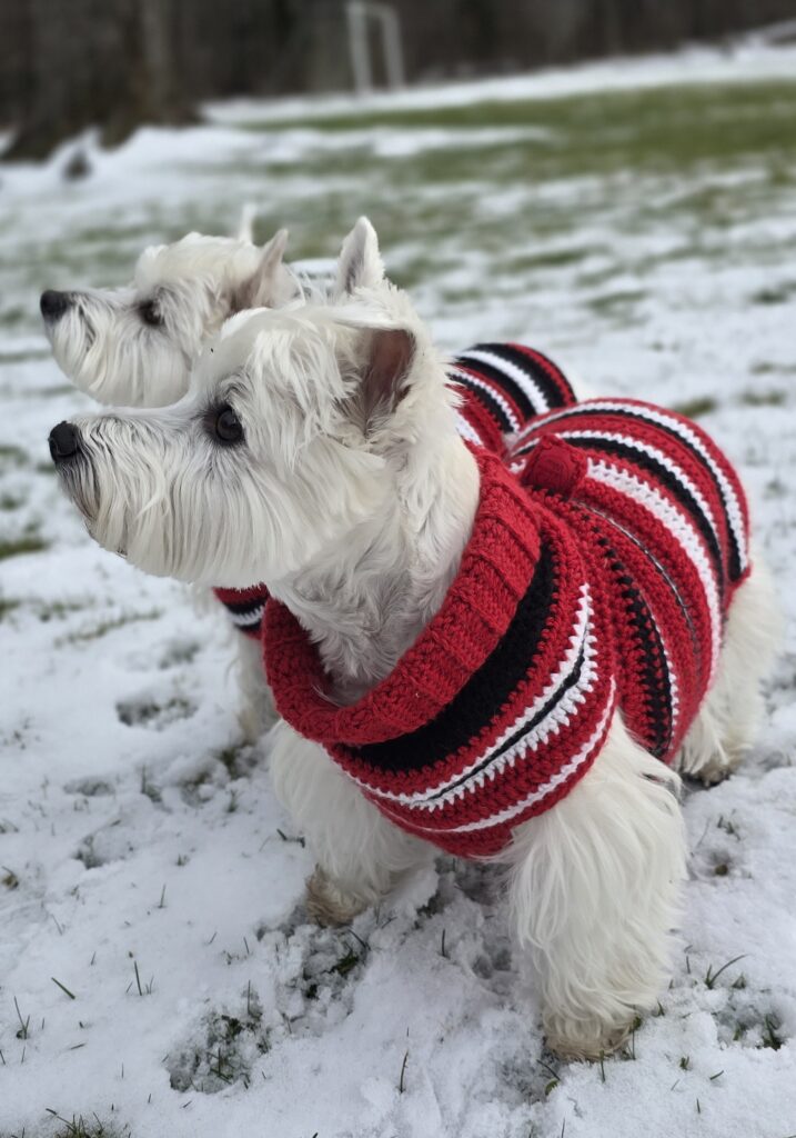 Custom Dog Sweaters by WestieWear™