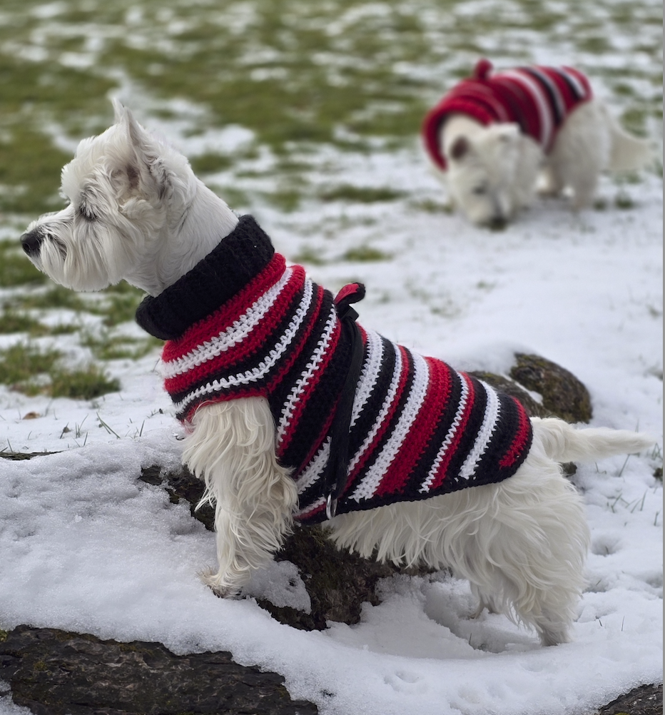 Custom Sweater Side View