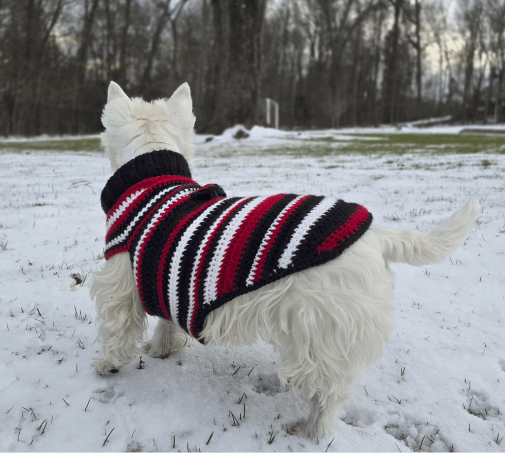 Custom Sweater Side View
