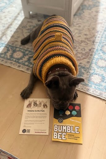 Color Profiles Offer More than Palettes