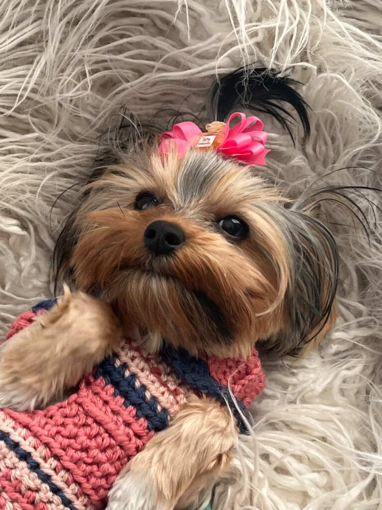 Sydney - Comfort and confidence