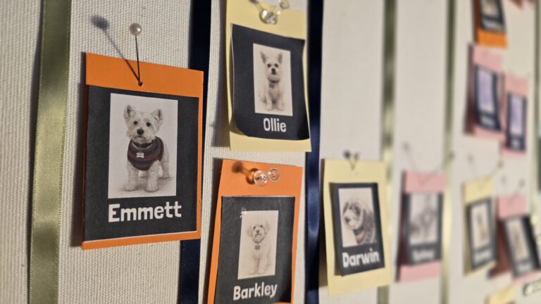 WestieWear progress Board